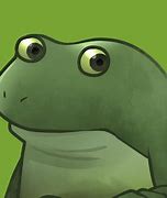 Image result for Worry Frog