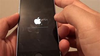 Image result for iPhone SE Reset Button Text