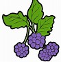 Image result for BlackBerry Bushes Clip Art