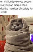 Image result for Out of Office Vibes Meme