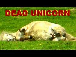 Image result for Real Life Unicorn Dead