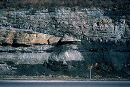 Image result for Coal Geology