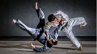 Image result for Grappling Martial Arts