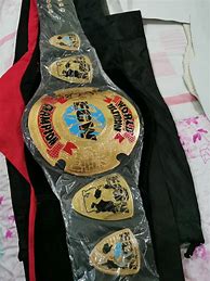 Image result for Wrestling Belt Collector