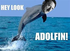 Image result for Dolphin Guy Mme