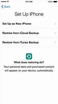 Image result for Activate iPhone SE 2020 Verizon