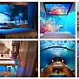 Image result for Underwater Theme Room