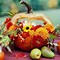 Image result for fall imagesize:large