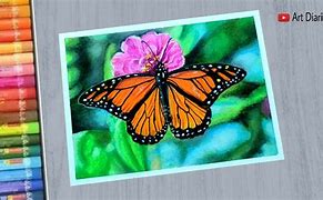 Image result for Oil Pastel Butterfly