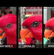 Image result for iPhone 6s Camera Features