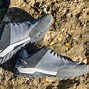 Image result for Five Ten Climbing Shoes