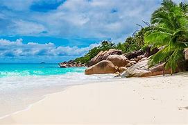 Image result for 1920X1080 HD Beach Desktop Wallpaper