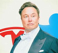 Image result for Elon Musk BTC