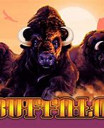 Image result for Buffalo Game