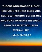 Image result for Galatians 6:8