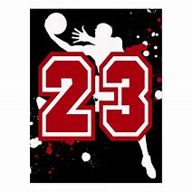 Image result for 23 Basketball