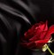 Image result for Black Red Rose Desktop Wallpaper