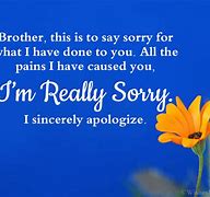 Image result for Sorry Lil Bro