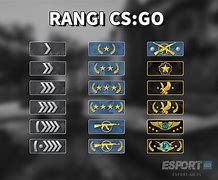 Image result for Rangi CS:GO