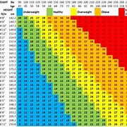 Image result for iPhone 11 12 13 Comparison Chart