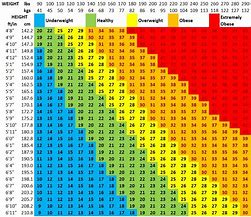 Image result for Who BMI Chart Metric