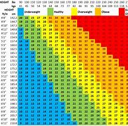 Image result for BMI Chart Metric