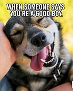 Image result for Boyfriend Dog Memes