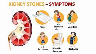 Image result for Kidney Stone Pain Symptoms