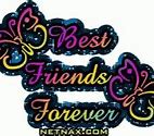 Image result for Best Friends Forever TV Show