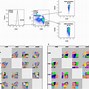 Image result for Flow Cytometry Test
