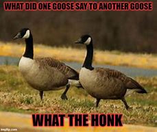 Image result for Goose Memes