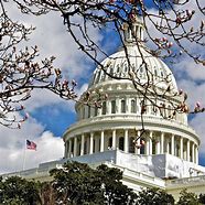 Image result for U.S. Capitol