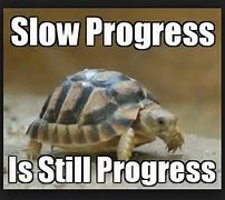 Image result for Slow Turtle Face Meme