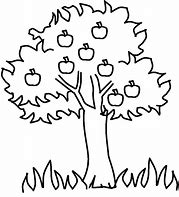 Image result for Outline of Apple Tree
