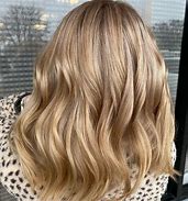 Image result for Champagne Blonde Hair Dye