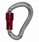 Image result for Small Metal Carabiners