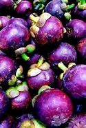 Image result for Rose Apple Philippines