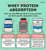 Image result for Whey 90% Protein