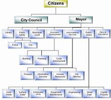 Image result for Local Government Structure Chart