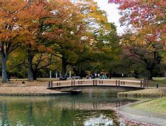 Image result for Yoyogi Park