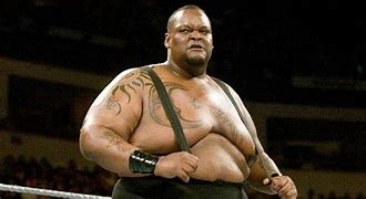 Image result for WWE Heavyweight Black