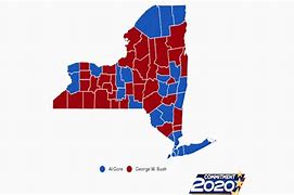 Image result for New York Politics