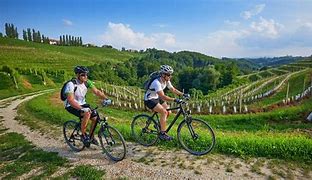 Image result for Crni Vrh Cycling Clubs Slovenia