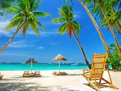 Image result for Tropical Island Meme