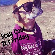 Image result for Staying Cool Meme