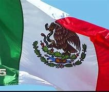 Image result for Mexican Voter ID