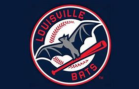 Image result for Bats Baseball Team