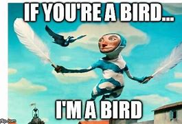 Image result for Ima Bird Meme