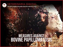 Image result for Bovine Papillomas