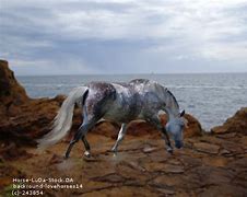 Image result for Dark Dapple Gray Horse